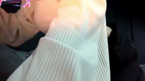 vestaszanto @ chaturbate on 20260113