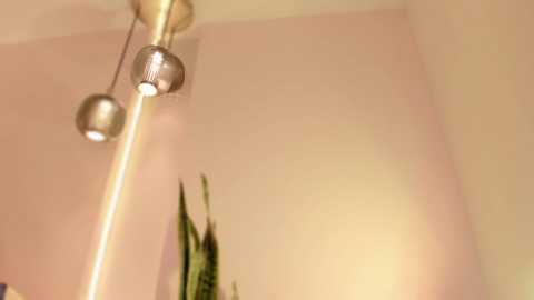 angeline777 @ chaturbate on 20260114