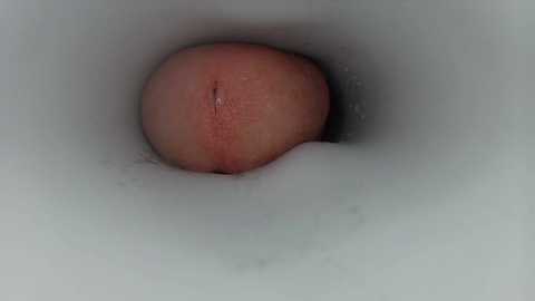 jeffrodgerschaturbat @ chaturbate on 20260115