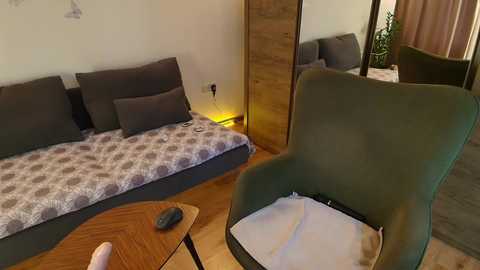 mirela_silver @ chaturbate on 20260115