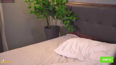 bellacle @ chaturbate on 20260117