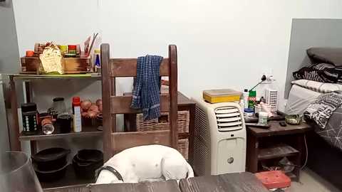 hornyhippies0080 @ chaturbate on 20260117