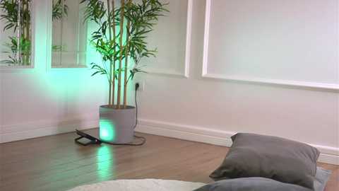 alexxiskye @ chaturbate on 20260118