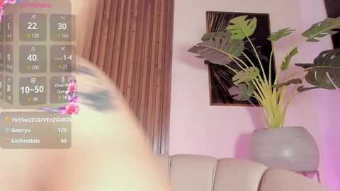 kenykitty @ chaturbate on 20260118