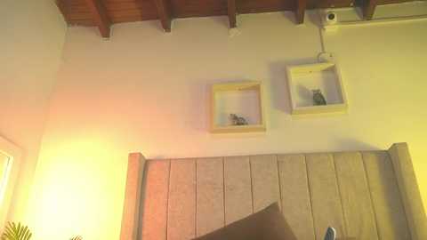 patty_m @ chaturbate on 20260120