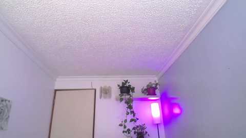 littlelaksmi @ chaturbate on 20260121