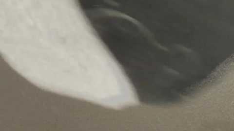 naughty_nerds @ chaturbate on 20260121