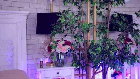 anabellastar @ chaturbate on 20260122