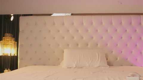 katestars @ chaturbate on 20260124