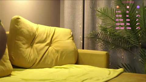 meganiex @ chaturbate on 20260124