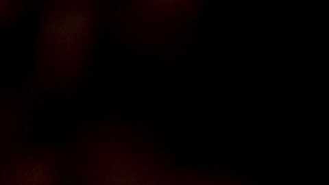 dongfatherproductions