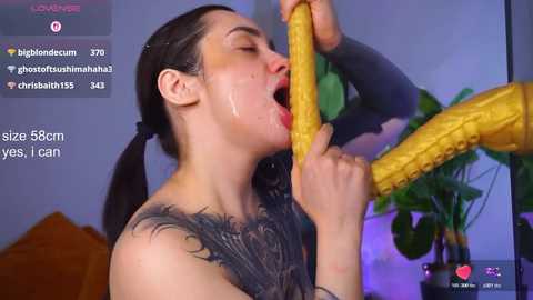 evarabbit @ chaturbate on 20260125