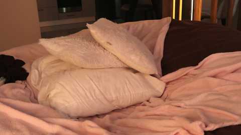 w1xll @ chaturbate on 20260125