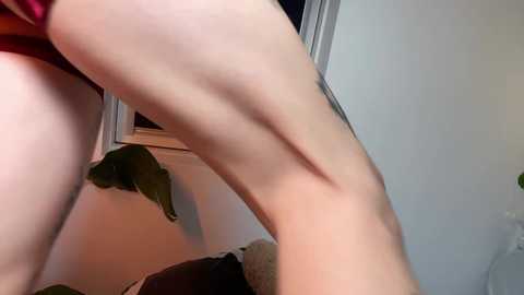 _deepthroatgalactica @ chaturbate on 20260126