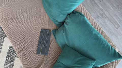 twixsex @ chaturbate on 20260126