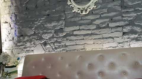 vixvixenn @ chaturbate on 20260126