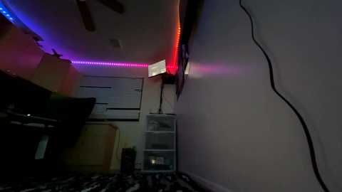 123456llc @ chaturbate on 20260129