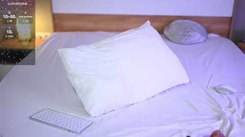 petalpage @ chaturbate on 20260129