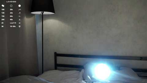 shanelfun @ chaturbate on 20260129