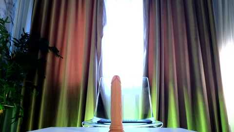 tequillasunrise1 @ chaturbate on 20260130