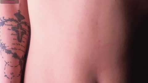 camelotus @ chaturbate on 20260204