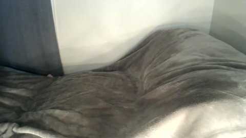 happytoesgonzonose @ chaturbate on 20260209