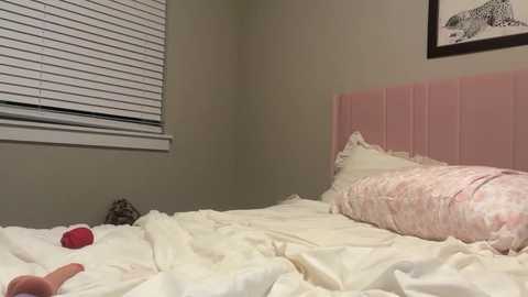 destinyyluvv @ chaturbate on 20260210