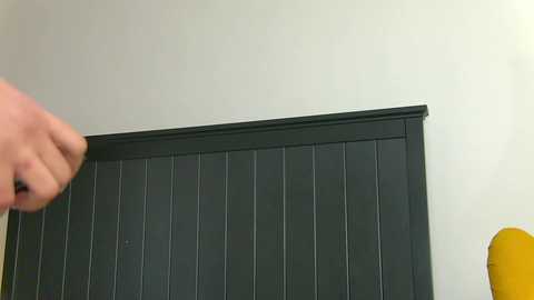 yanira_ass_ @ chaturbate on 20260211