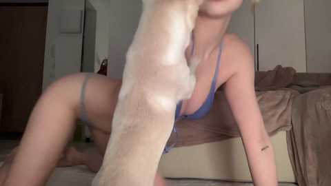 blushland @ chaturbate on 20260213