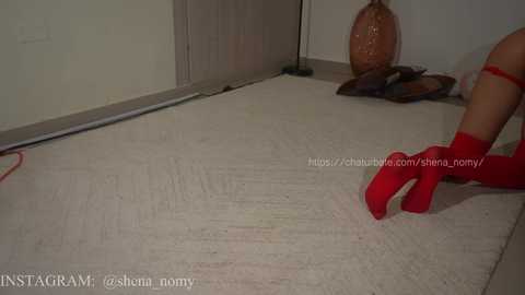 shena_nomy