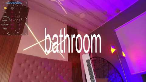 rihanna_rose @ chaturbate on 20260215