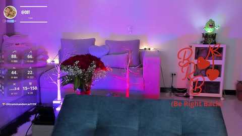 cotton_dollie @ chaturbate on 20260216