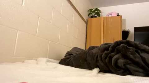 cutieeeva @ chaturbate on 20260216