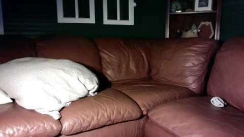 firsttime_freak @ chaturbate on 20260216