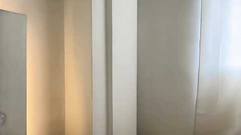 evelyn_jhonson3 @ chaturbate on 20260217