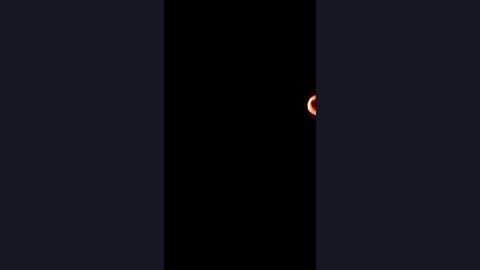 peterstodgell @ chaturbate on 20260217