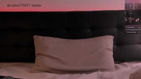 talkinghead7 @ chaturbate on 20260217