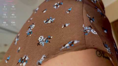 yourhanna @ chaturbate on 20260217