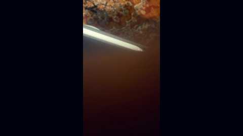 bettymorante @ chaturbate on 20260218