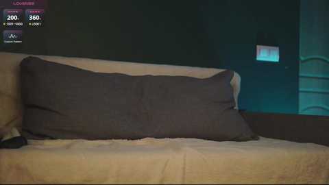 angels_kiss @ chaturbate on 20260219