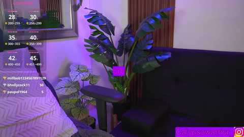 calypso_and_ge1 @ chaturbate on 20260219