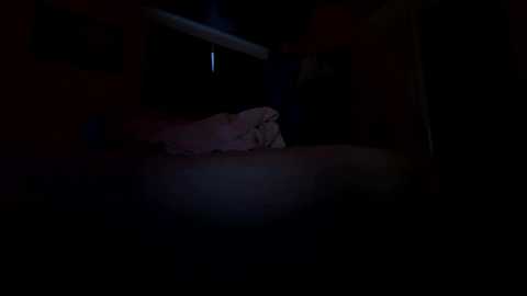 haonnoswad @ chaturbate on 20260219