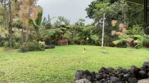 kaileeshy @ chaturbate on 20260219