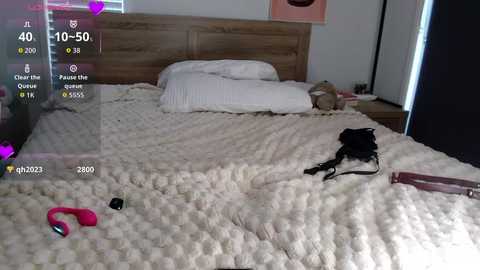 novakitty4 @ chaturbate on 20260219