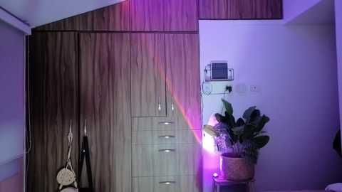 ohanna_ @ chaturbate on 20260219