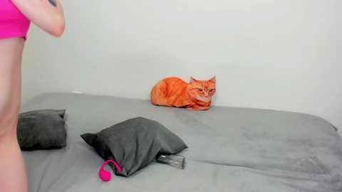 raveneusbiter @ chaturbate on 20260219