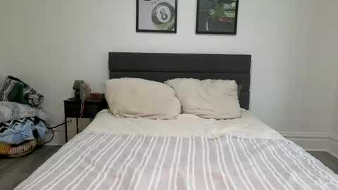 scarletterose_504259 @ chaturbate on 20260219