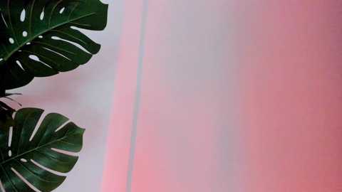 ashllovee_ @ chaturbate on 20260220