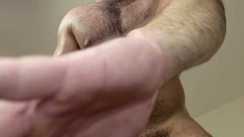 deanlek @ chaturbate on 20260220