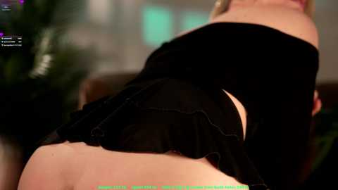 dory54784 @ chaturbate on 20260220